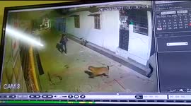 Dramatic moment wild leopard attacks journalist in northern Indian after 60-hour rampage
