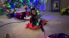 Capuchin the moment: 13-year-old monkey enjoys opening Christmas gifts