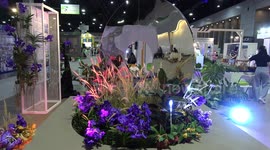 Science enthusiasts attend colourful science fair in Bangkok, Thailand