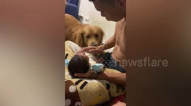Protective pet dog barks at owner pretending to hit newborn baby
