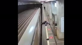 Man hits head on moving train, miraculously survives