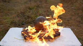 YouTuber attempts to cook an ostrich egg on a bed of thousands of matches