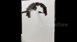 Portrait of player No. 456 of the cult web series 'The Squid Game'