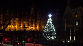 The Parliament Christmas tree sparkles in New Palace Yard - London