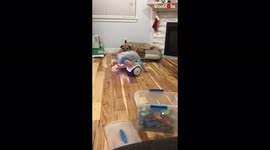 Curious toddler hilariously learns that hoverboards are not a suitable Christmas gift for him