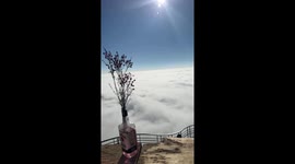 Remarkable Vietnamese cafe appears to FLOAT above clouds