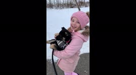 Our puppy's first walk didn't go as planned, this is a fail video