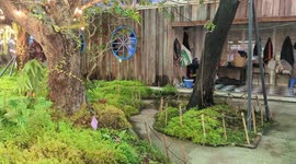 A green paradise in the middle of town, various plants, a waterfall, and even live music