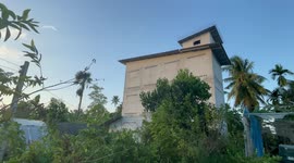 Swiftlets return to bird house for producing bird's nest soup in southern Thailand