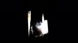 INCREDIBLE Unbelievable FOOTAGE OF A SPIRIT DOG CAUGHT ON LIVE VIDEO AT THE MOST HAUNTED WOODS IN CORNWALL