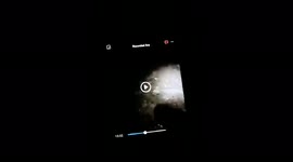 INCREDIBLE Unbelievable FOOTAGE OF A SPIRIT DOG RUNNING THROUGH THE 2 WALLS OF THE RUINS AT THE MOST HAUNTED WOODS IN CORNWALL LIVE ON VIDEO