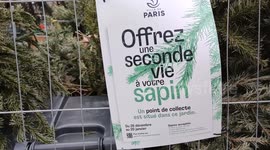 Paris: the Operation
