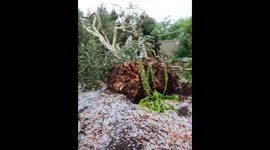 Australia: Aftermath Of Powerful Thunderstorm Hitting Canberra