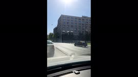 Chile: Thousands Of Bees Flutter Around La Moneda During Beekeepers’ Protest