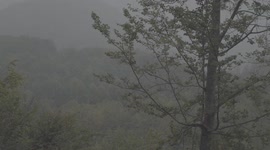 Weather in Bizë, Tirana, Albania