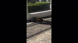 South Africa: Fire Erupts At Parliament Building In Cape Town