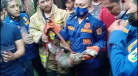 Indonesian firefighters remove giant monitor lizard from drain