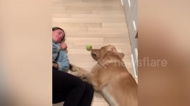 Watch this dog and his owner play a very lazy game of fetch