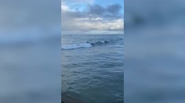 Mark Zuckerberg spotted having a surfing lesson in Hawaii