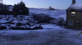 This dog is unable to contain his excitement after snowfall in owner's garden