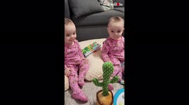Identical twins have a blast playing with 'mocking cactus' on their first Christmas