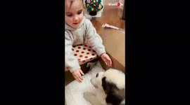 Cute puppy surprise for US toddler at Christmas