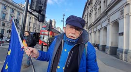 Pro EU protesters at Parliament Square