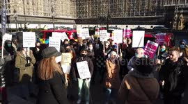 Protest Against the Nationalist Apartheid Britain Bill, London, UK