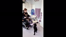 UK girl living with muscular dystrophy has smart little dog helping her open doors