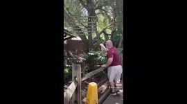 Man heroically picks up a bird that had escaped at Gatorland in Florida