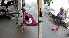Cobra slithers past startled family relaxing outside their home