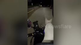 Pet cat enjoys riding on motorcycle in the Philippines