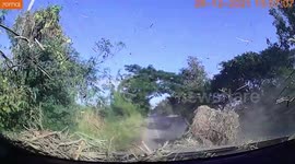 Huge bale of sugarcane falls from truck smashing into oncoming car in the opposite lane