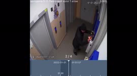 Security cams capture funny NYE fireworks fail in eastern Russia