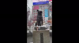 Japan: Heavy Snow Blankets Tokyo, Surrounding Areas 2