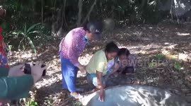 Puppy spooked by fireworks falls into well before being rescued in Thailand