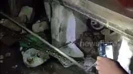 Firefighters Evacuate Pythons Enter Residents' Houses Along Five Meters