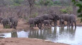 The view from our Campsite hide in the Kruger National Park , South Africa.