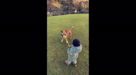 Ball throwing fail for little boy Tommy and his dog called Eric!