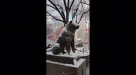Japan: Heavy Snow Blankets Tokyo, Surrounding Areas 3