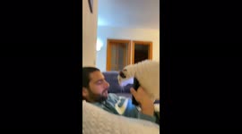 My cat kicked my phone and started a fight asking for dinner