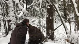 Owner feeds his pet bear mouth-to-mouth