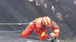 Firefighters rescue dog trapped on cliff in southern China