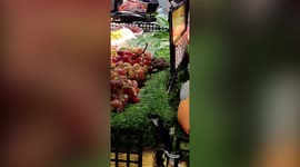 Pack of mice spotted eating grapes from fruit display at Chinese supermarket