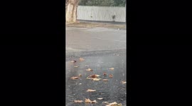 Australia: Severe Thunderstorm Warning Issued As Victoria Braces For Gales And Hail 2