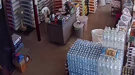 Cat chases snake under owner’s table in Thailand