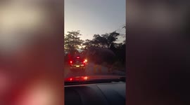 Hungry wild elephant steals food from passing pick-up truck in Thailand
