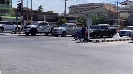Clever dog crosses road when lights stop at red traffic light