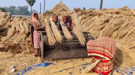 Rural women in India work using rice thresher to earn money during pandemic
