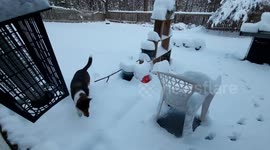 The First Snowstorm of 2022 in Frederick, Maryland; January 6-7, 2022